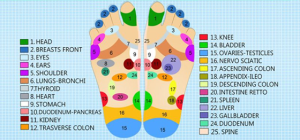 foot massage pressure points poster